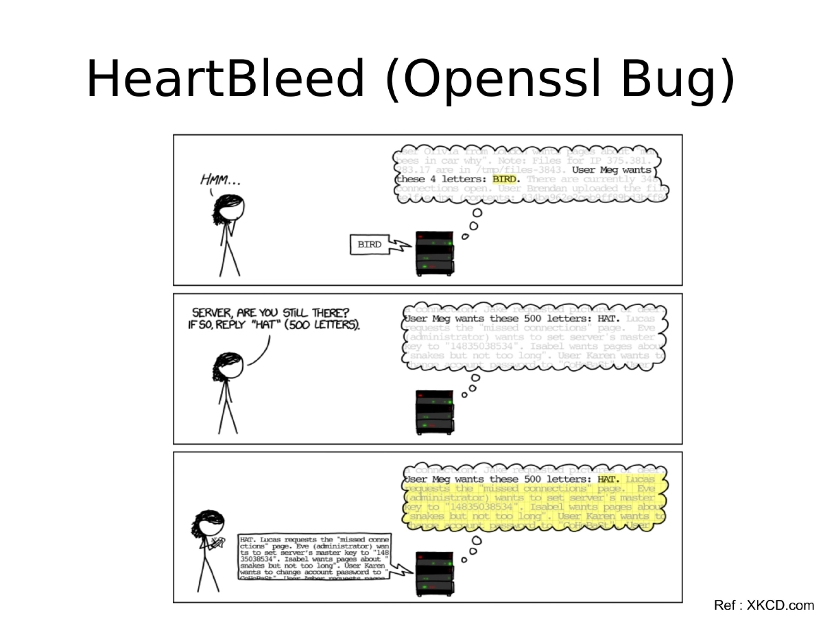 Slide 6 of Rootconf Heartbleed