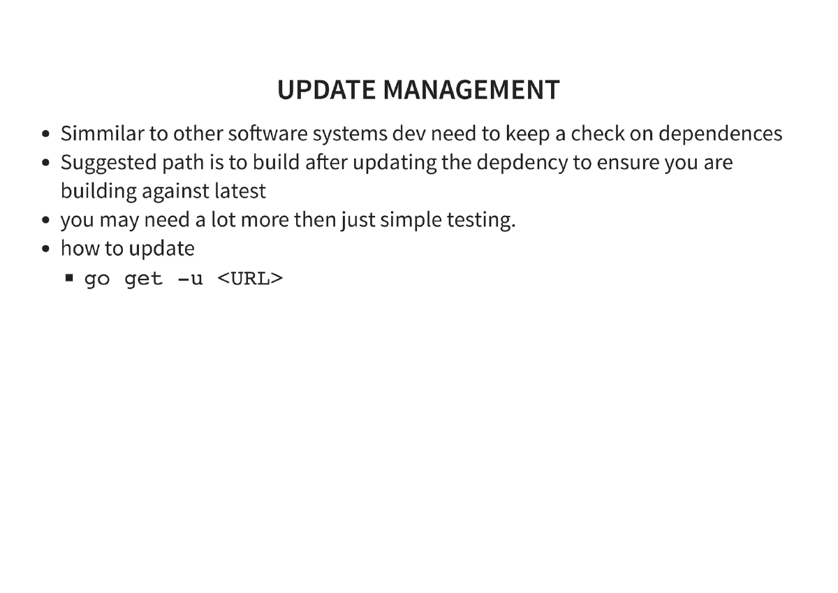 Slide 28 of Golang For Pentesters